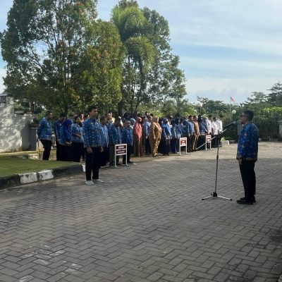 WhatsApp Image 2025-02-19 at 08.31.45